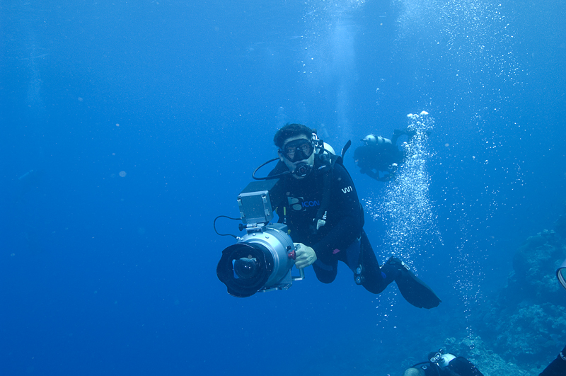 Didier Noirot in action - Shark Reef off the Fijian island of Beqa - Beqa divers